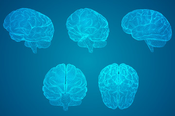 医疗行业有哪些项目