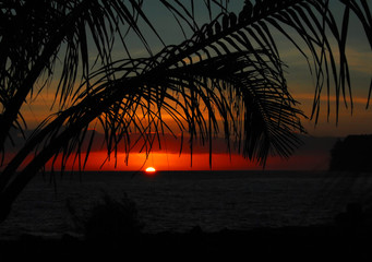 科技知识竞赛类选择题及答案