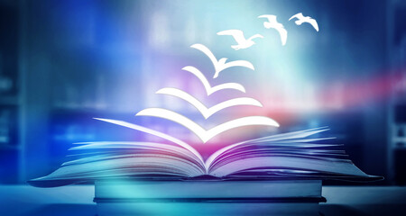 幼儿园安全教育教案与反思