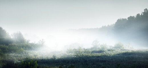 医疗行业有哪些项目