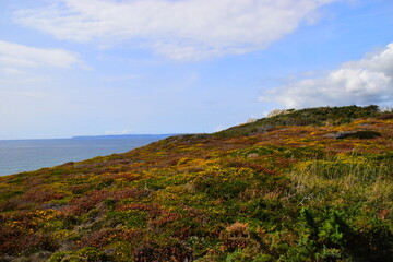 心理健康知识科普手抄报