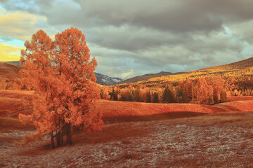 预防溺水安全知识宣传语合集