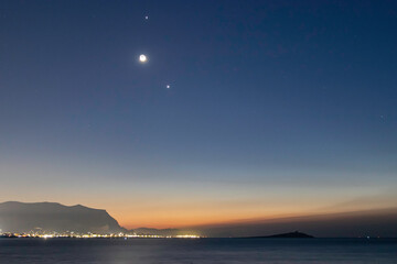 英语单词tree什么意思