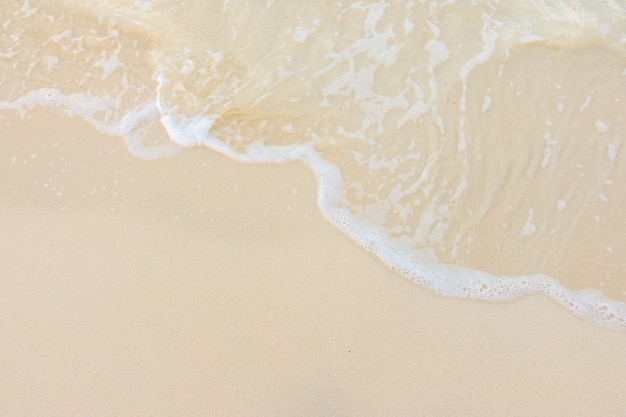 预防溺水安全知识宣传语合集