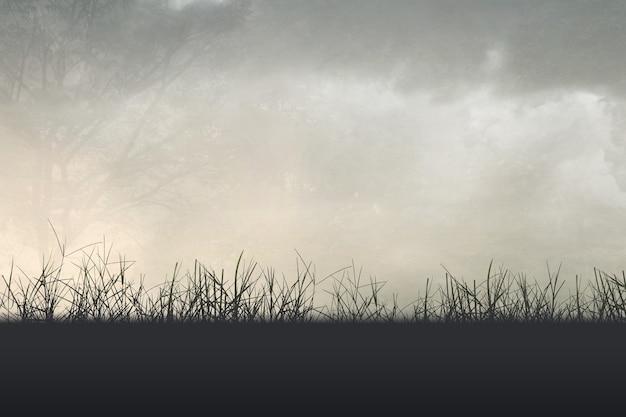 体育与健康的基础知识20个