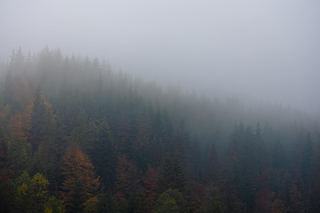 100句英语句子（谚语和名言一共一百句）<带中文翻译>