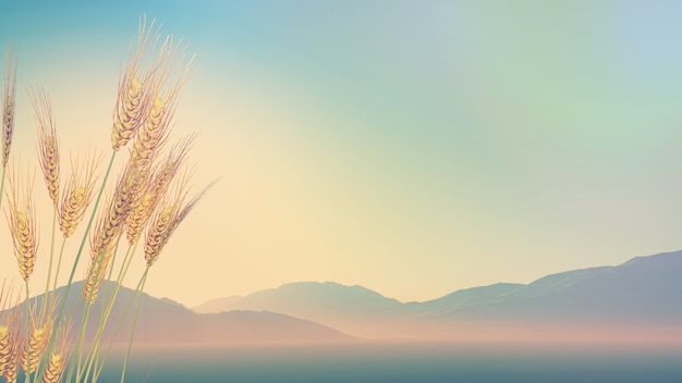 你爱的不是我,你心里还藏着谁,你爱的不是我,是否是我错了,是什么歌里的？