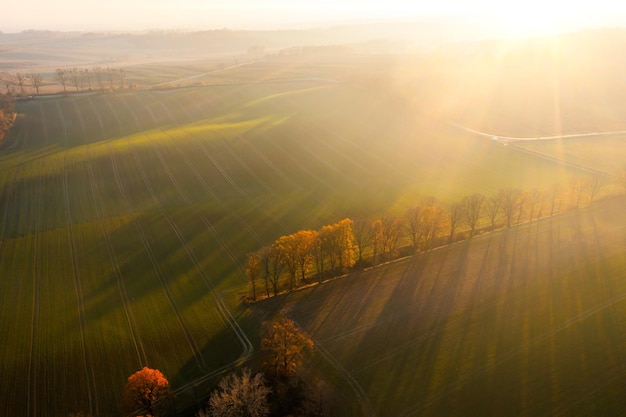 幼儿园大班冬季健康知识小常识