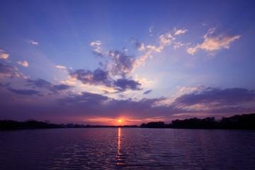 英语单词tree什么意思