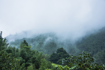 体育与健康的基础知识20个